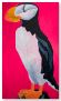 Pink Puffin