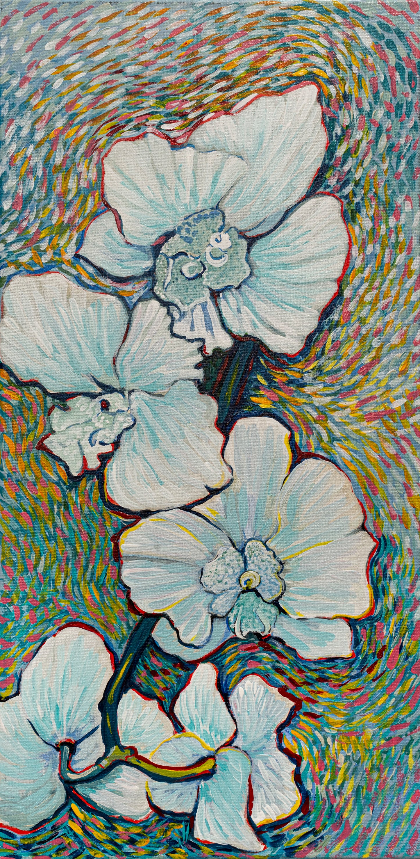 ORCHID DREAMS ORIGINAL