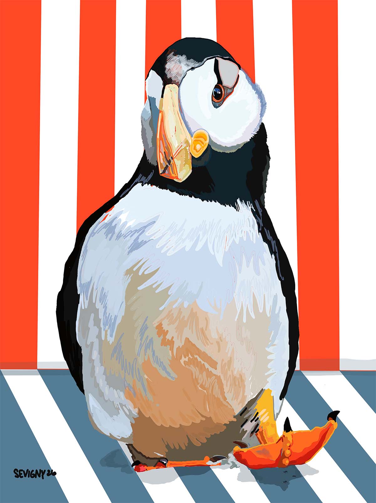 PHAT PUFFIN
