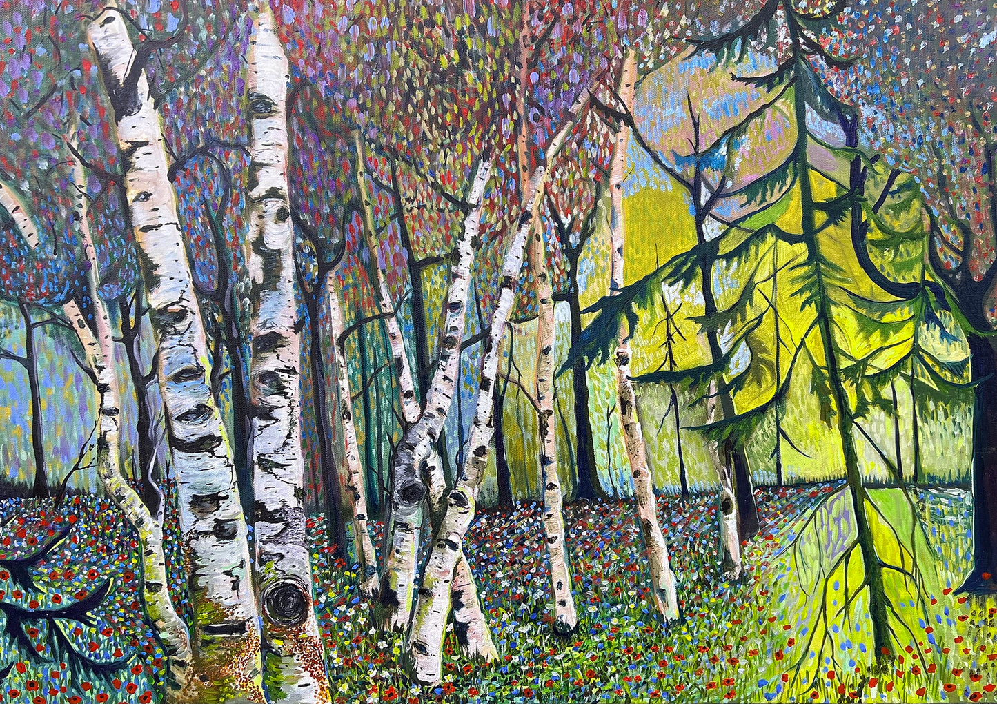 SPRUCE & BIRCH FOREST