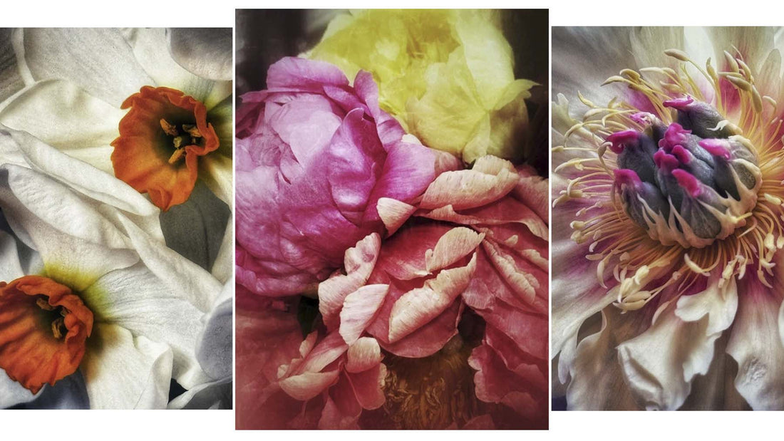 FLOWERED | First Friday Art Show | May 2026