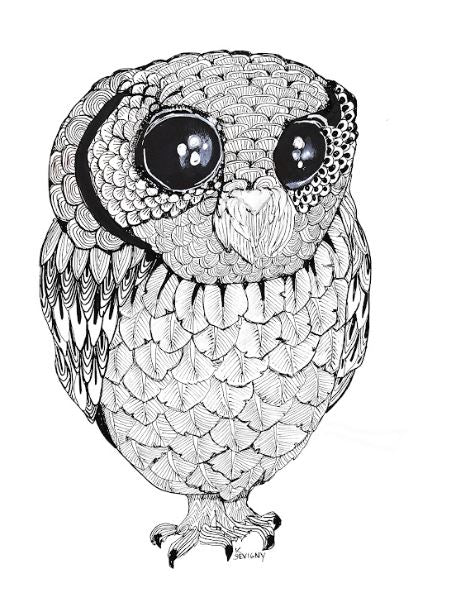 B&W OWL