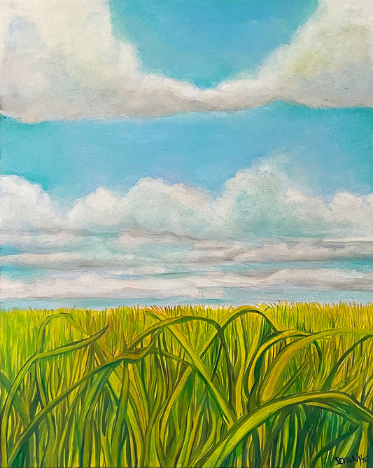 CLOUDS 4 Grass