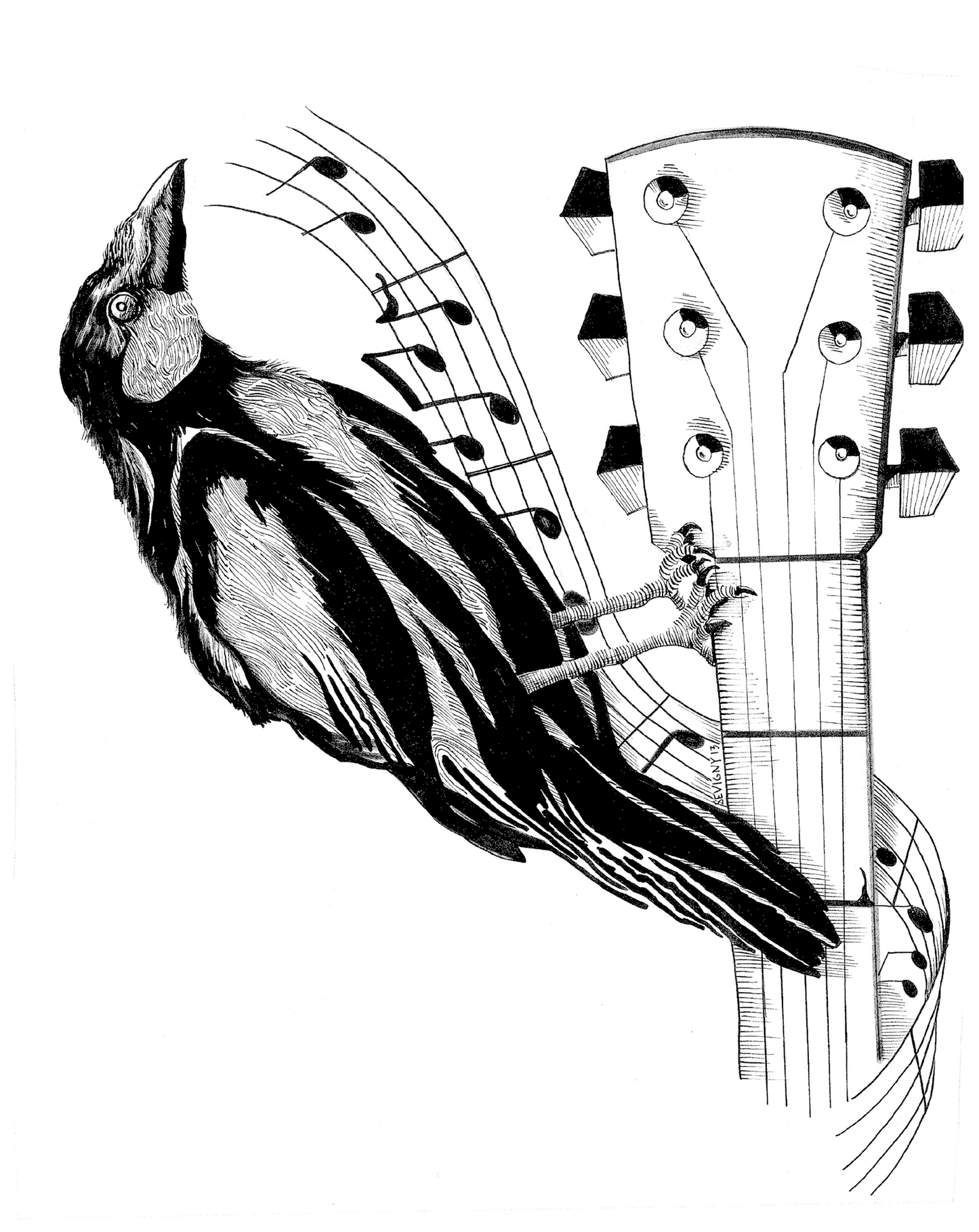 GUITAR RAVEN