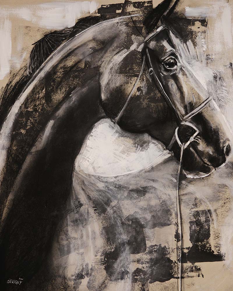 Year of the Horse