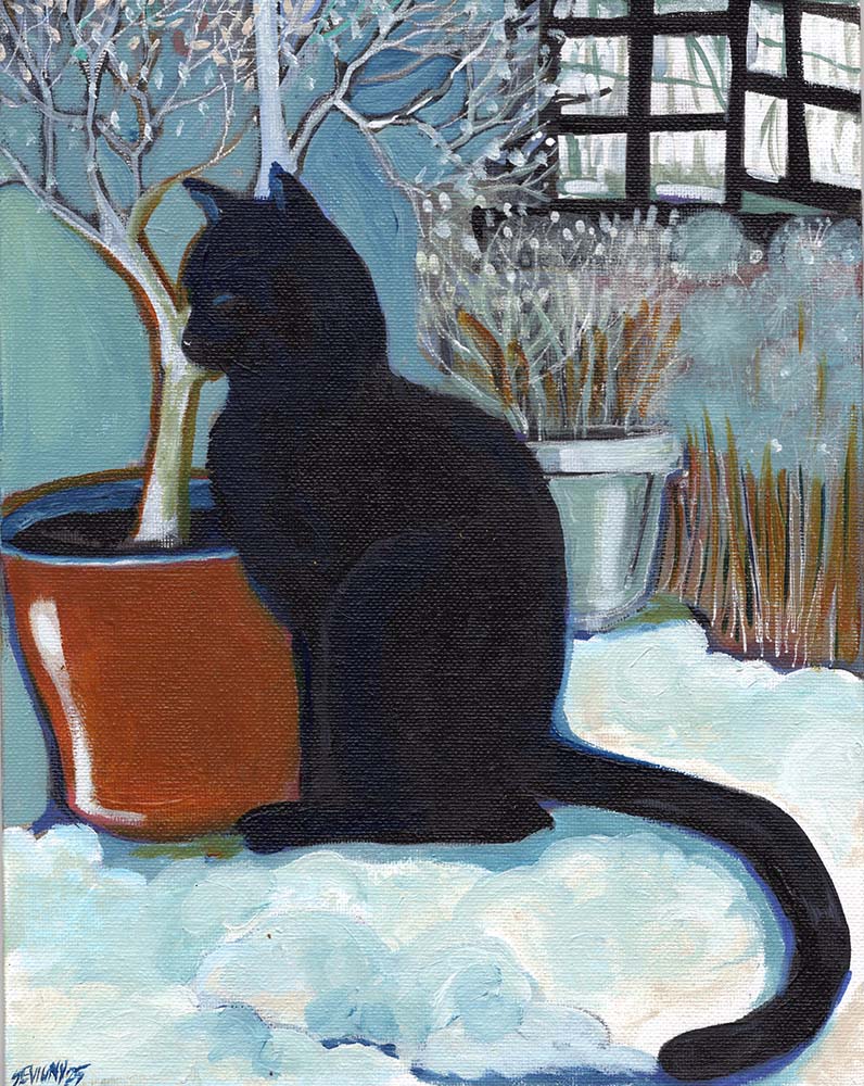 Cat by Window