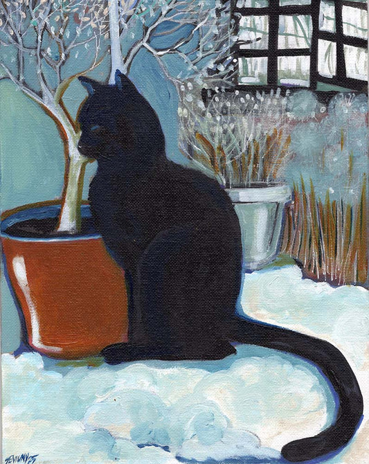 Cat by Window