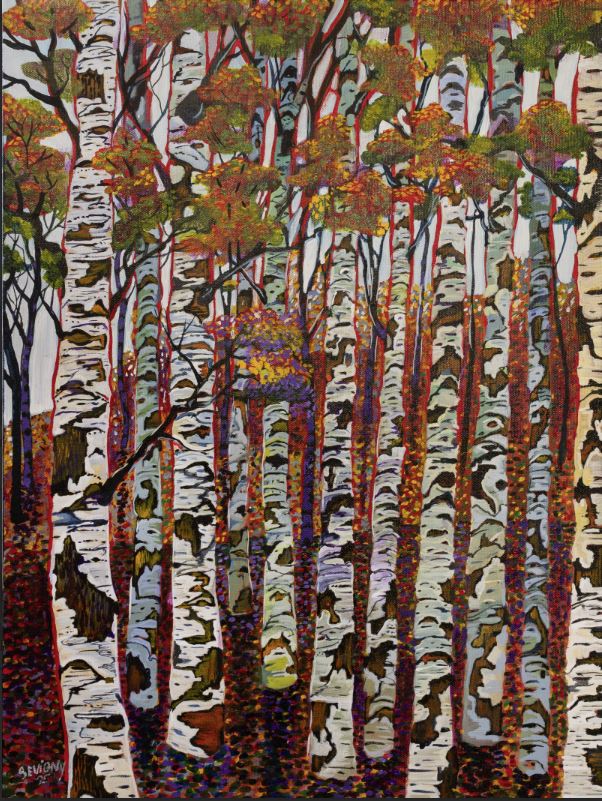 BIRCH 1
