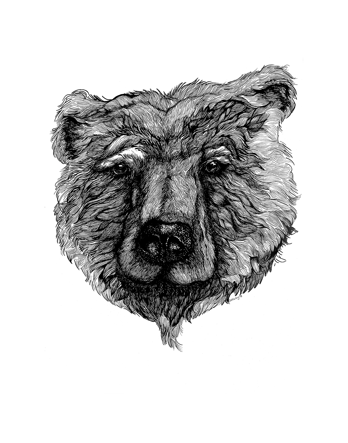 B&W BEAR