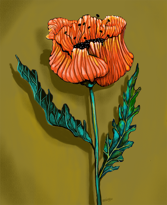 SINGLE POPPY